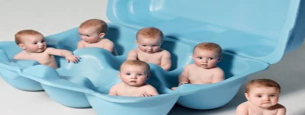 Babies in egg pack